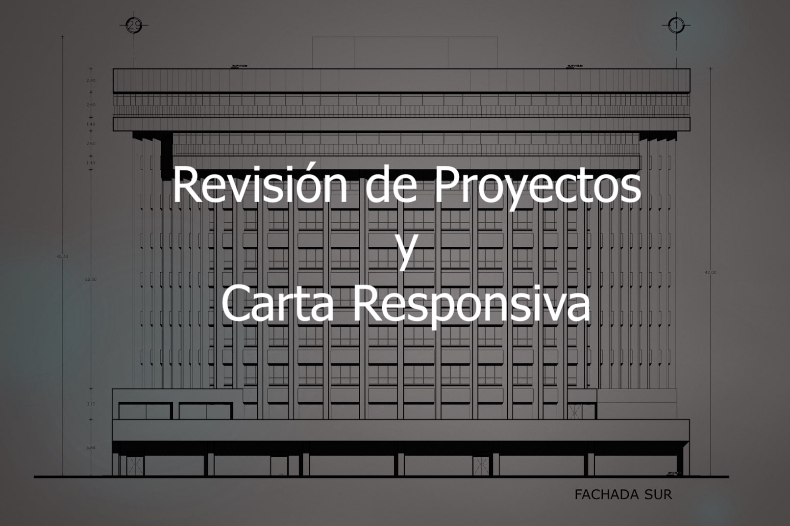 Revisión de Proyectos y Carta Responsiva